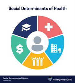 components of social determinants